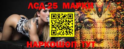 крисы Новодвинск