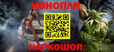 крисы Новодвинск