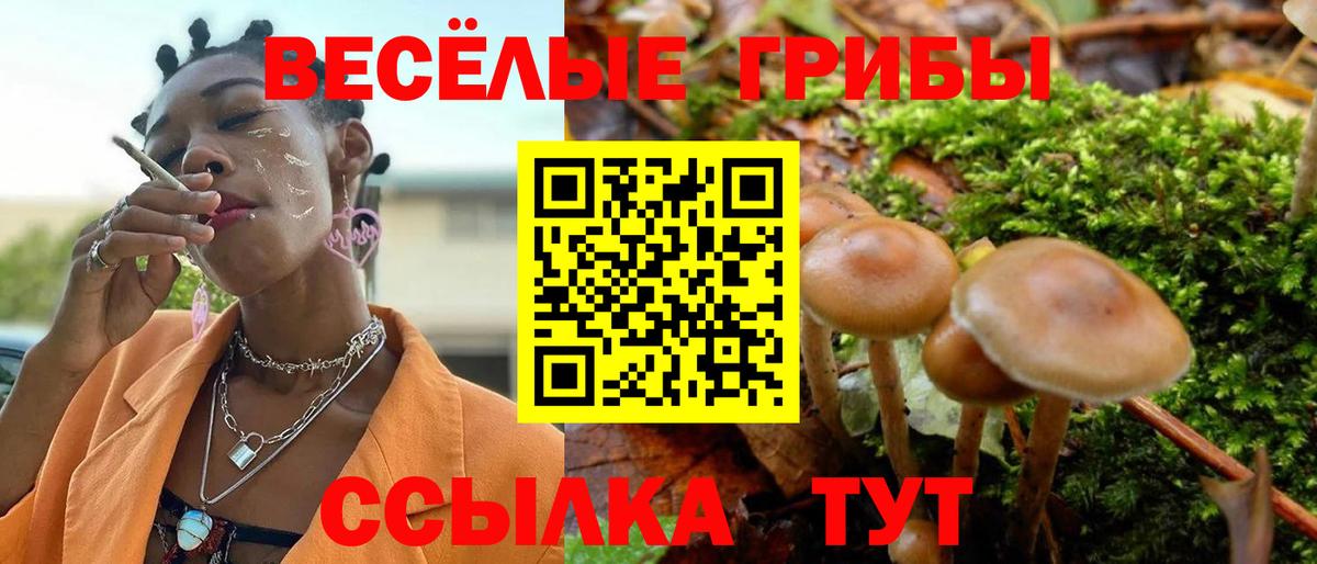 ГАШ  Вход с VPN  Экстази  Марихуана  Альфа ПВП СК   Сегежа  КОКАИН  NBOMe  Как найти закладки?  МЕФ  