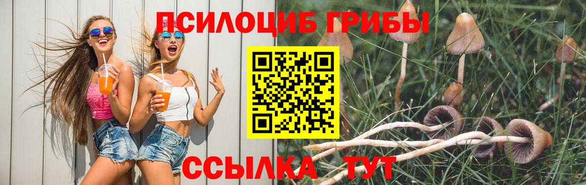 Галлюциногенные грибы мицелий Сегежа