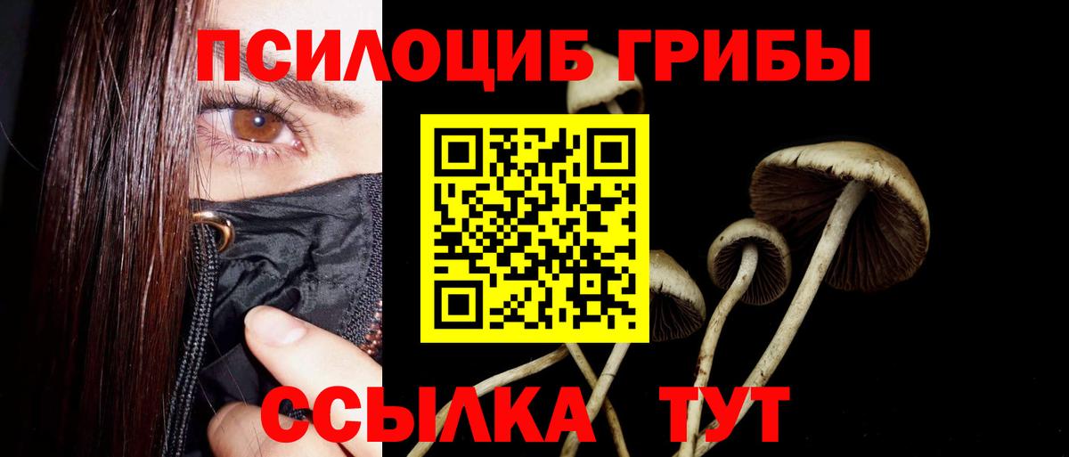 Галлюциногенные грибы прущие грибы  Вход с VPN  Сегежа 